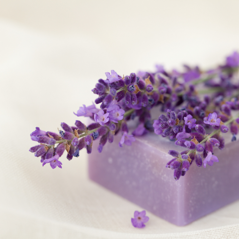 Violet Body Bar by Zero®, Castile Body Soap