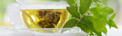 Organic Single Herbs Teas by Teafillery®