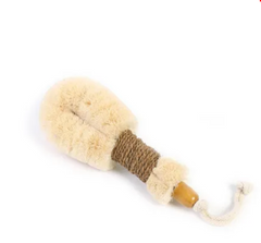 Shower Brush - Ethical & Sustainable - 2 Colour choices