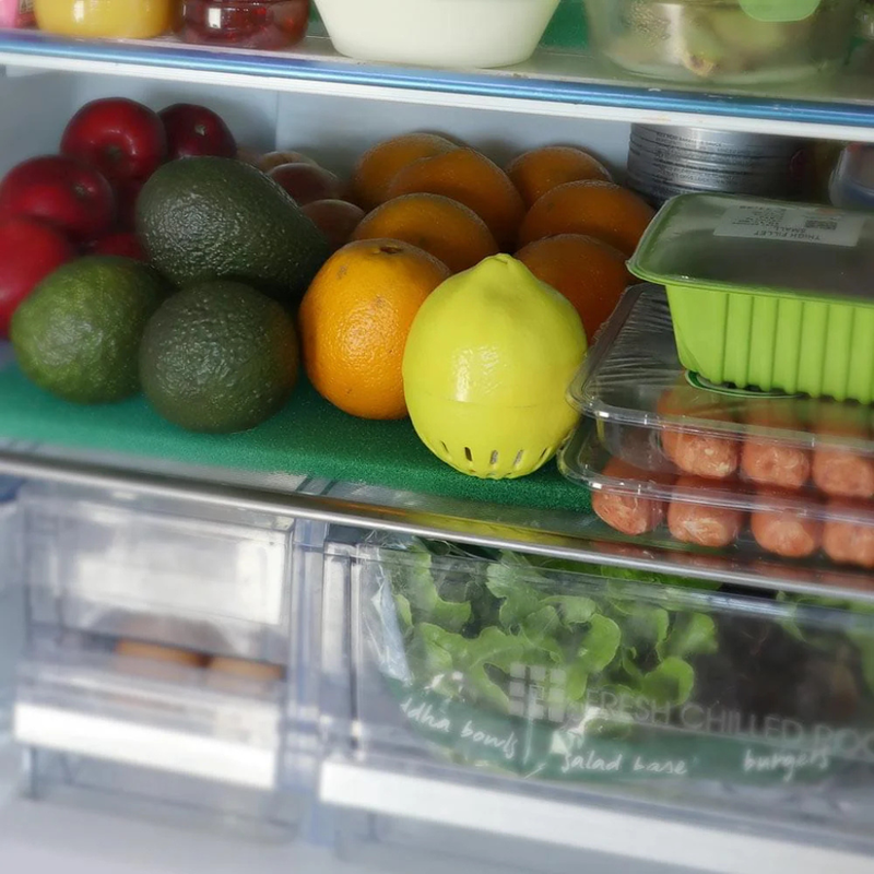 Fridge Deodoriser