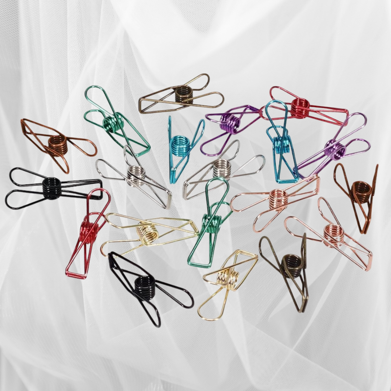 Stainless Steel Clothes Pegs - 20 Pack