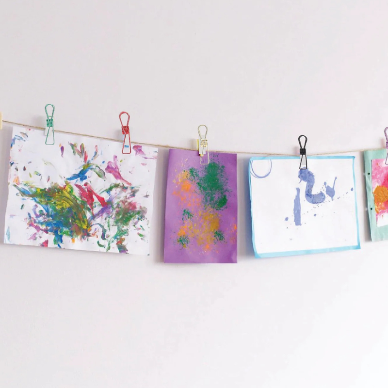 Stainless Steel Clothes Pegs - 20 Pack