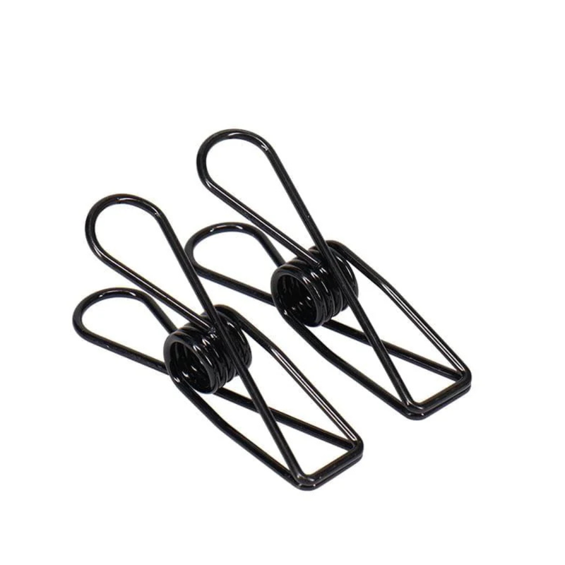 Stainless Steel Clothes Pegs - 20 Pack