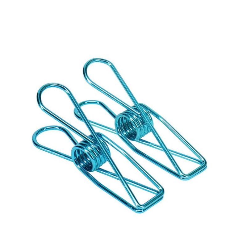 Stainless Steel Clothes Pegs - 20 Pack