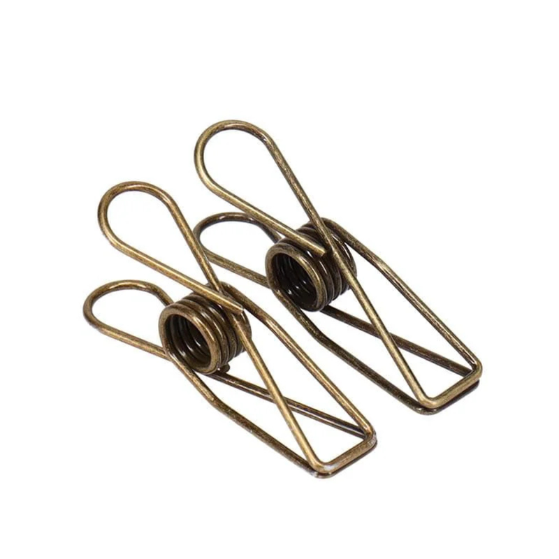 Stainless Steel Clothes Pegs - 20 Pack