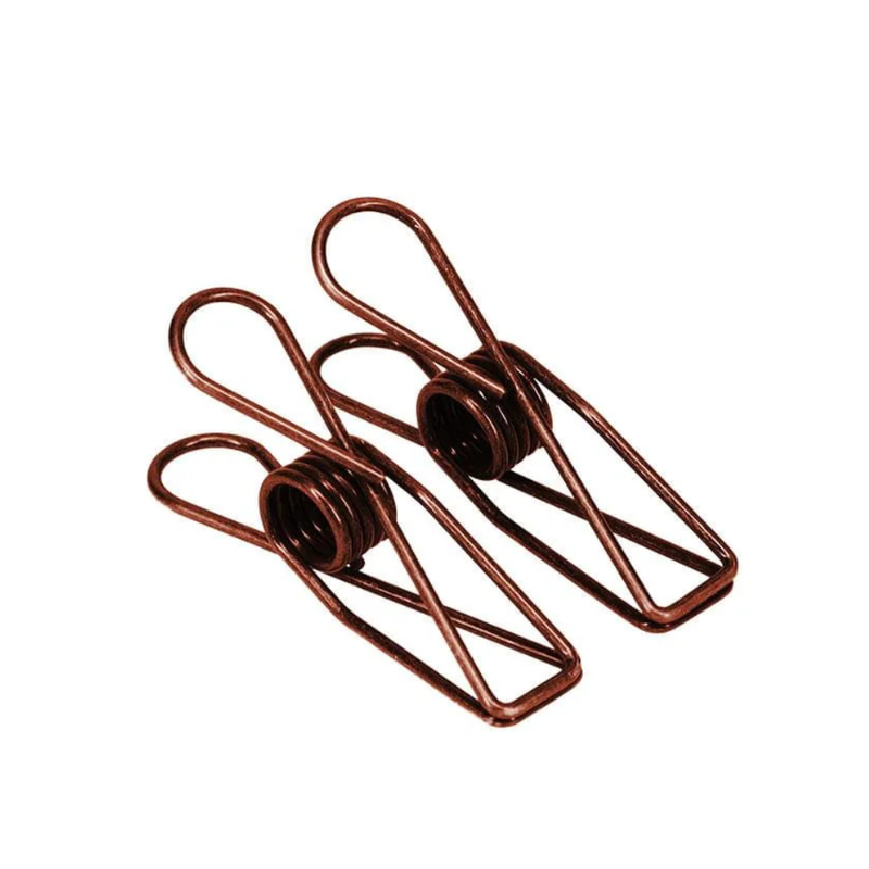 Stainless Steel Clothes Pegs - 20 Pack