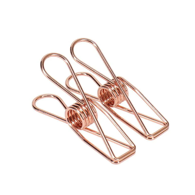 Stainless Steel Clothes Pegs - 20 Pack