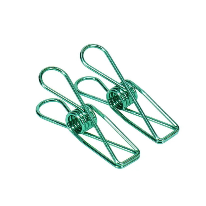 Stainless Steel Clothes Pegs - 20 Pack