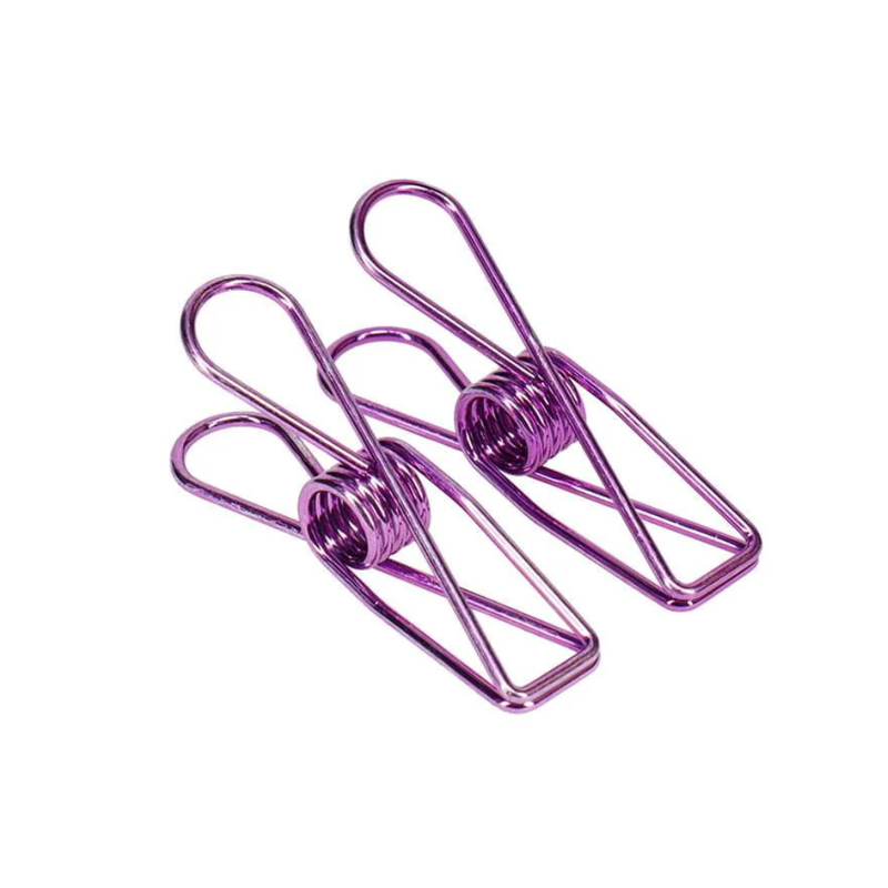 Stainless Steel Clothes Pegs - 20 Pack