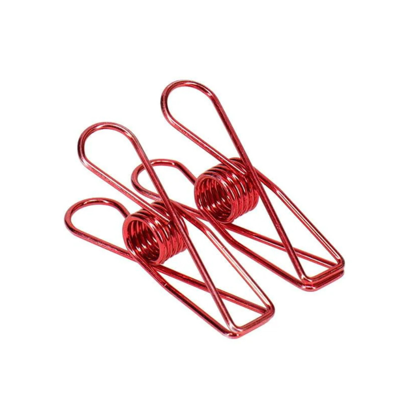 Stainless Steel Clothes Pegs - 20 Pack