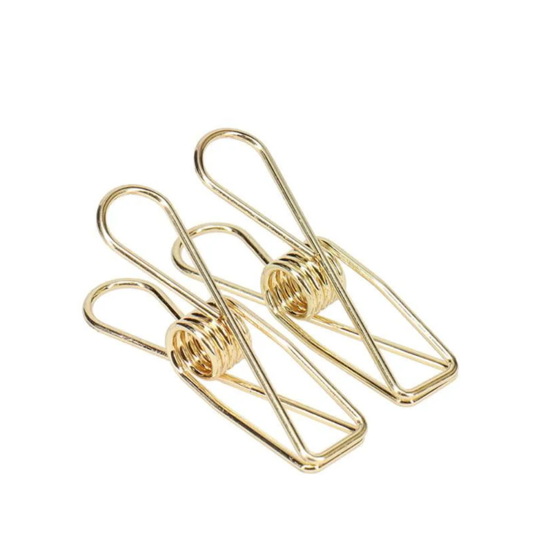 Stainless Steel Clothes Pegs - 20 Pack