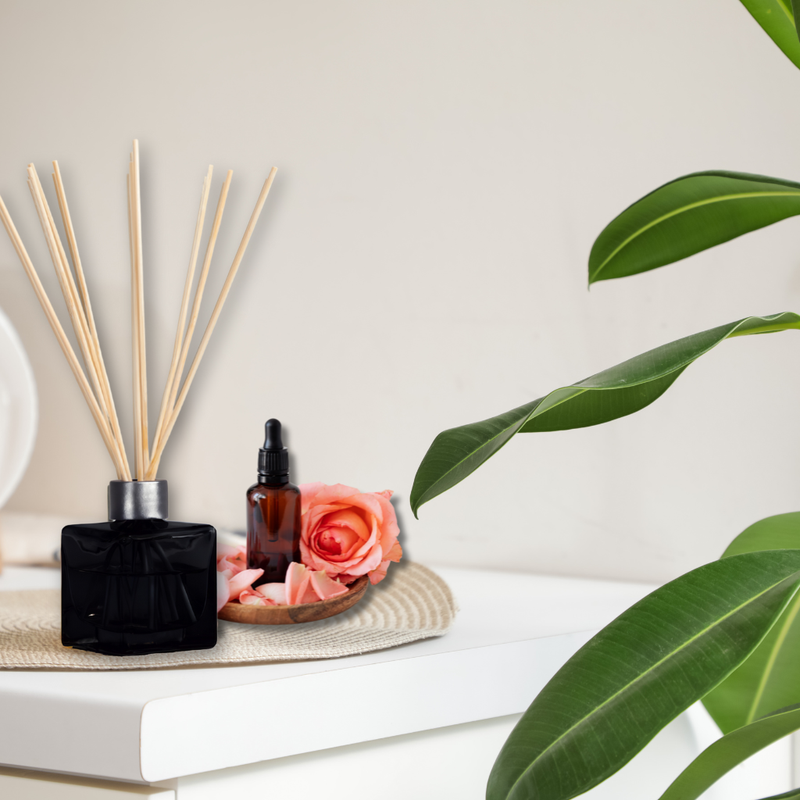 Reed Diffuser Bottles with Reeds