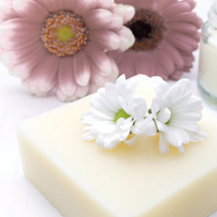 Shampoo Bar (Soap Free) - Blossom