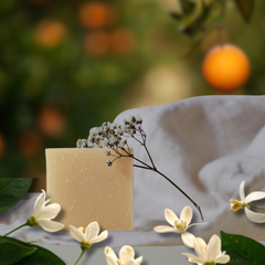 Shampoo Bar (Soap Free) - Zest