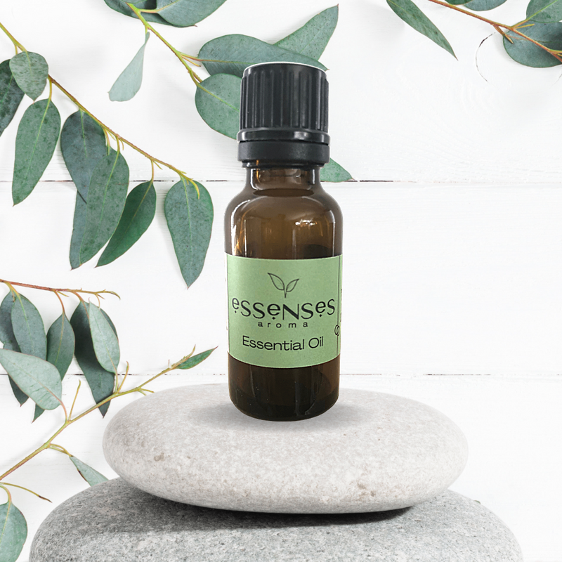 Eucalyptus Essential Oil