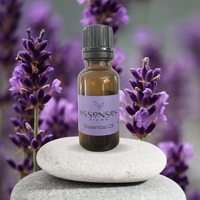 Lavender Essential Oil