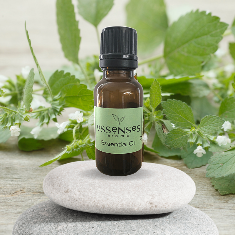 Melissa clearance essential oil