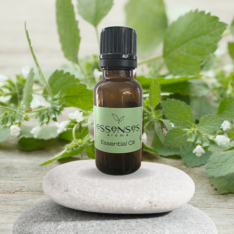 Melissa Essential Oil