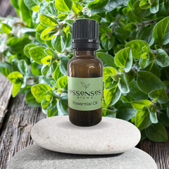 Oregano Essential Oil