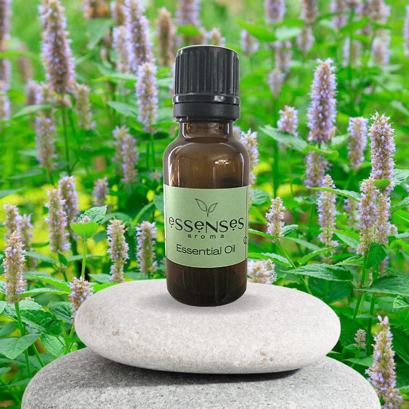 Patchouli Essential Oil