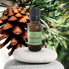 Pine Essential Oil