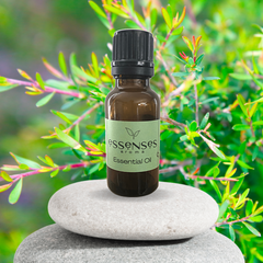 Tea Tree Essential Oil