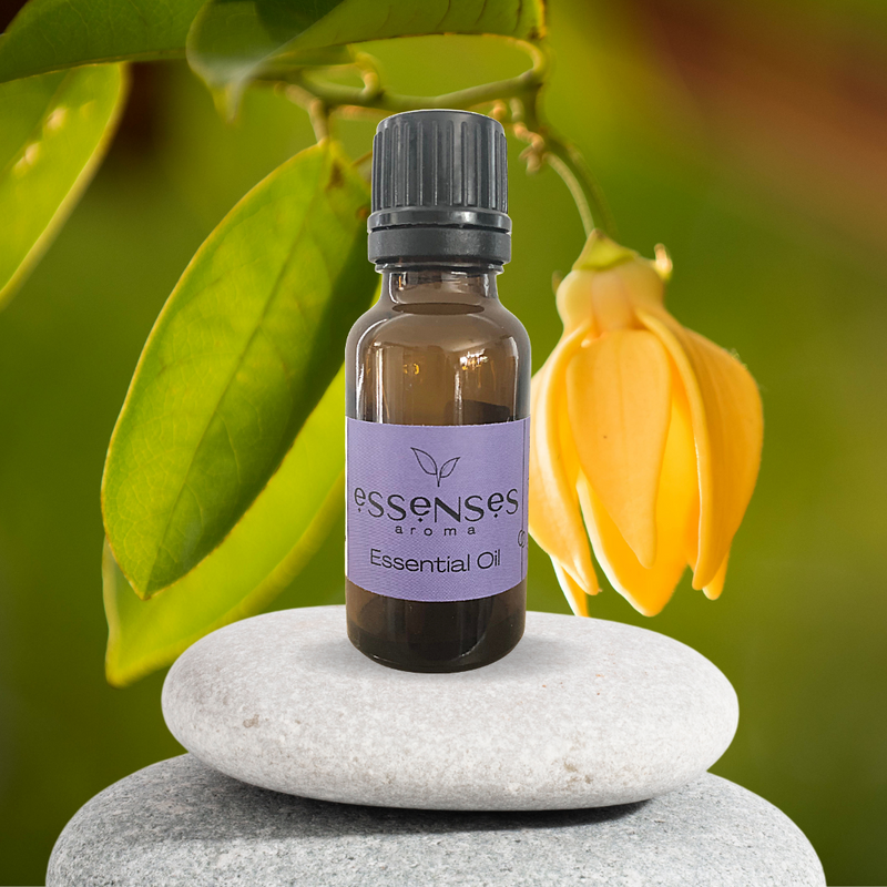 Ylang Ylang Essential Oil