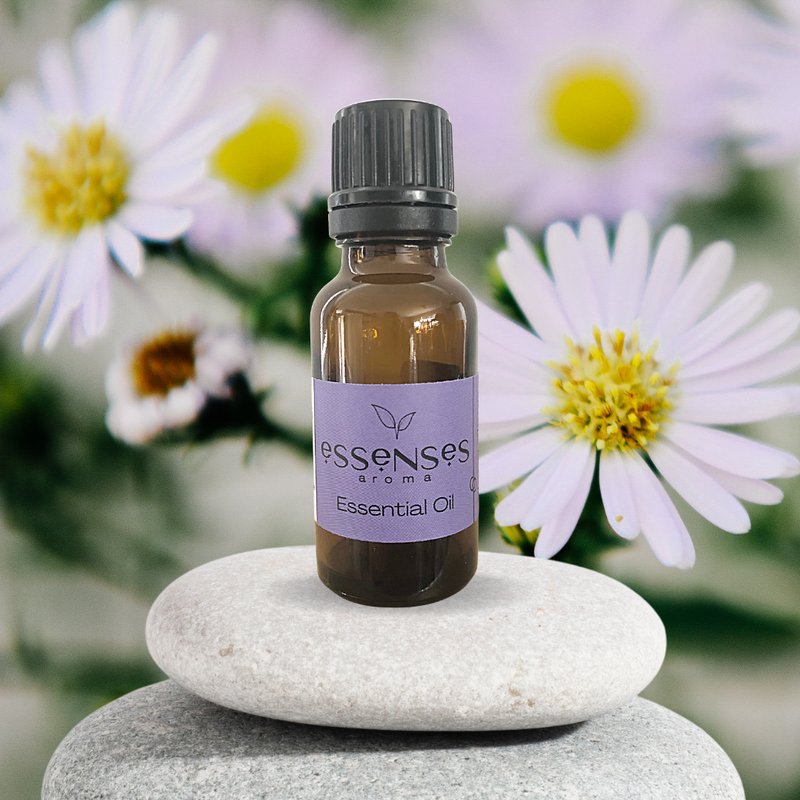 Chamomile, Roman Essential Oil